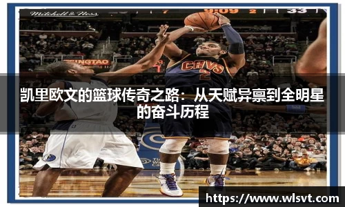 金年会
