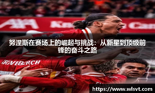 努涅斯在赛场上的崛起与挑战：从新星到顶级前锋的奋斗之路